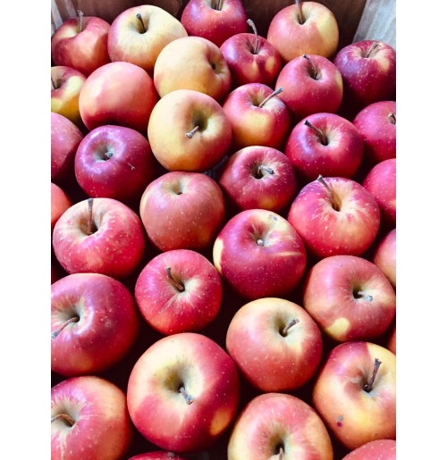 Mini Apples - Red Gold (500gm)